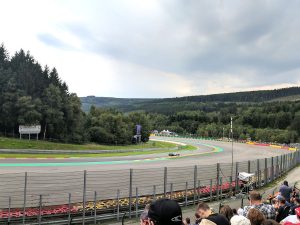 view from pouhon